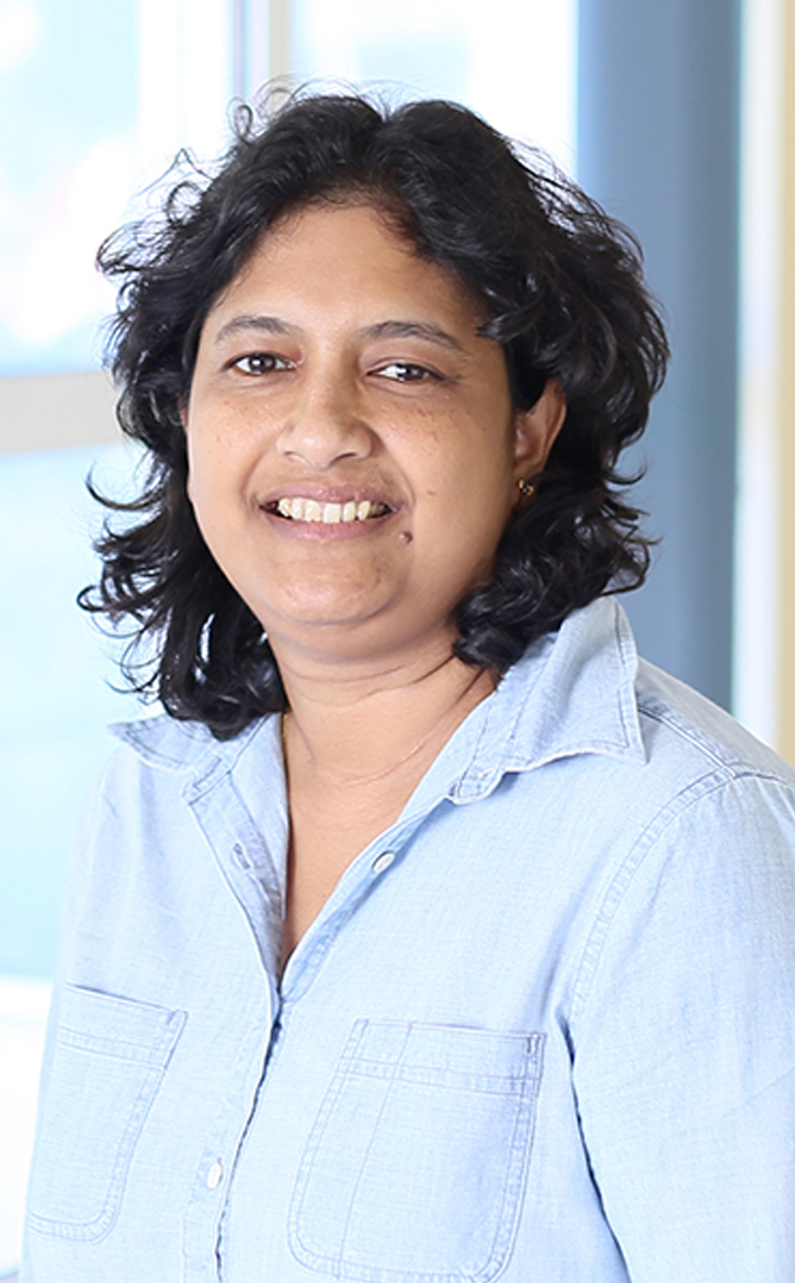 Prof. Meththika Vithanage